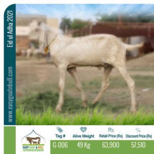 Premium Goat- G006