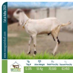 Premium Goat- G015
